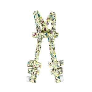 Arnes de Pavlick – PTM